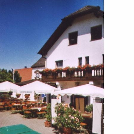 Gasthof / Pension Goetzfried Tegernheim Zewnętrze zdjęcie